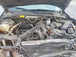 Ford Escape 2010