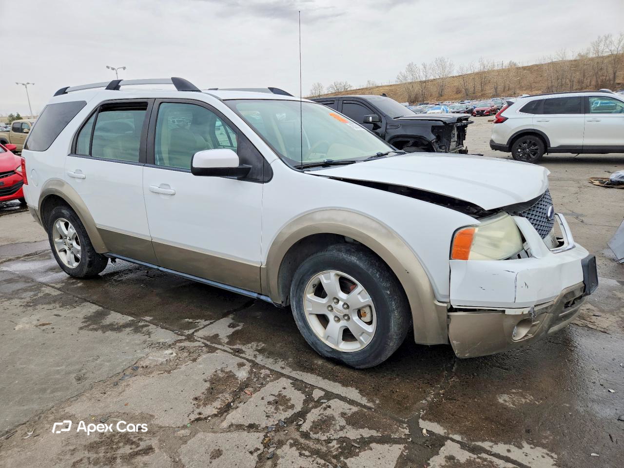 Ford Freestyle 2007