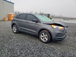 Ford Edge 2024