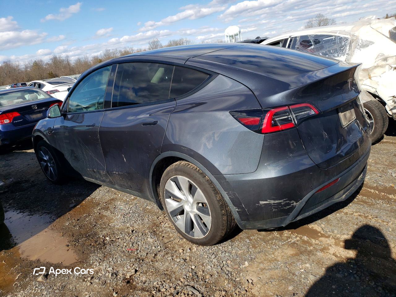 Tesla Model Y 2021