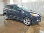 Ford Escape 2013