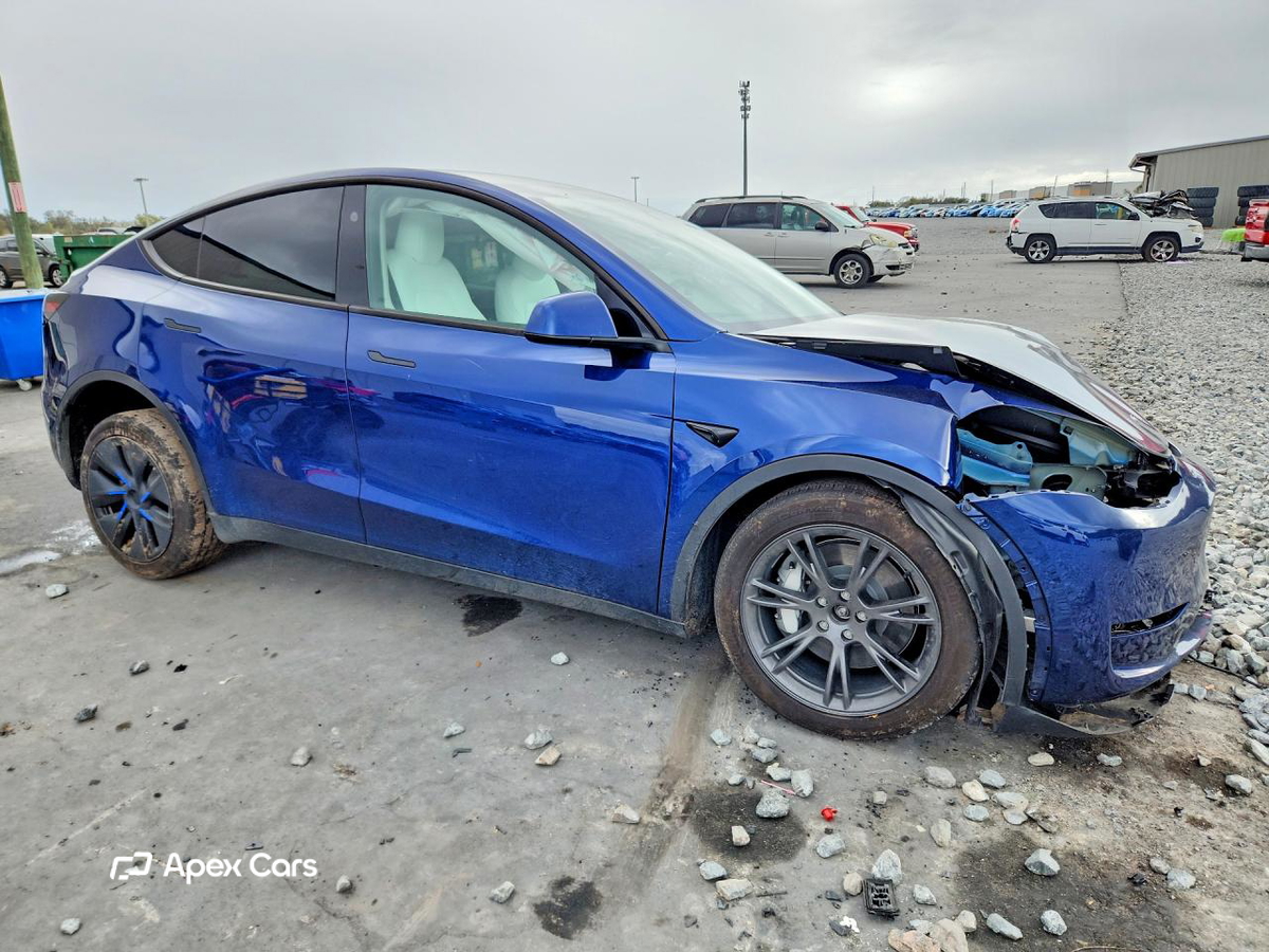 Tesla Model Y 2025
