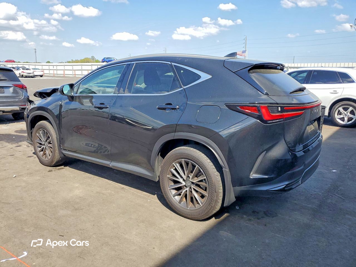 Lexus NX 2022