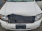 Ford Escape 2009