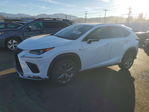 Lexus NX 2020