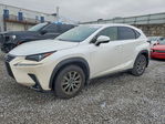 Lexus NX 2020