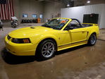 Ford Mustang 2001