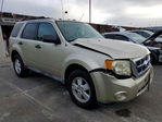 Ford Escape 2012