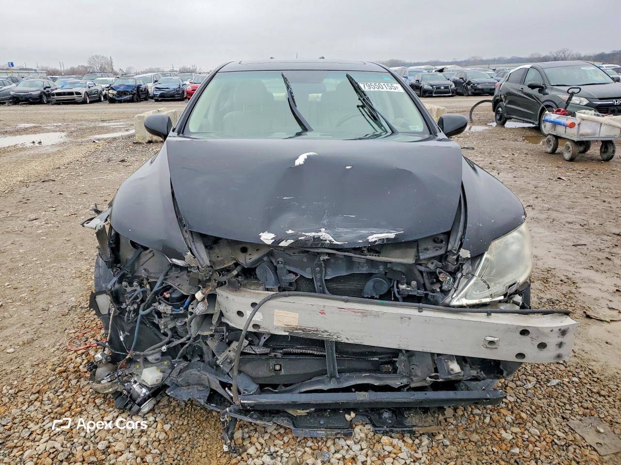 Lexus LS 2008