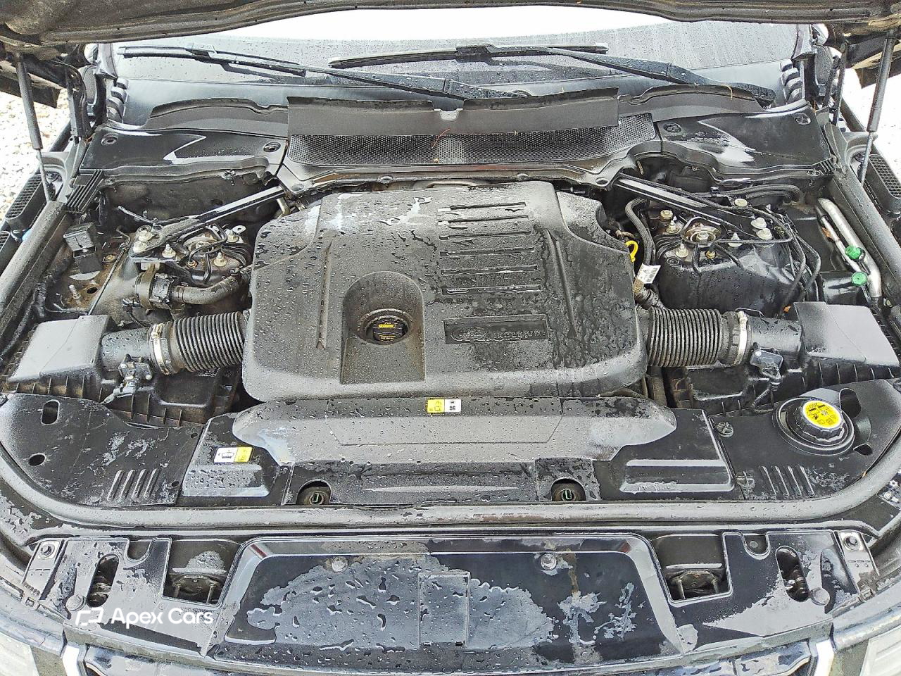 Land Rover Range Rover 2020