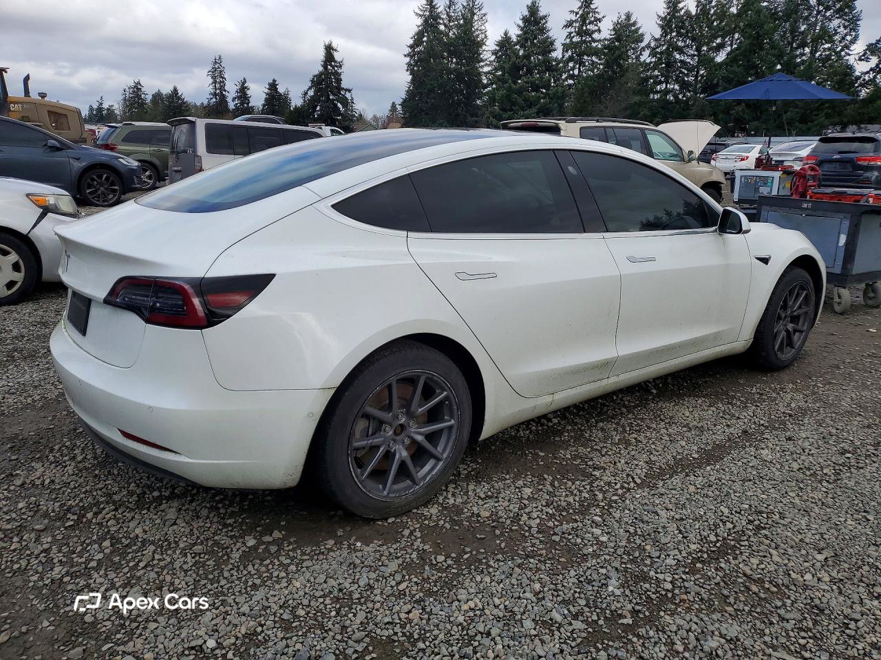 Tesla Model 3 2019