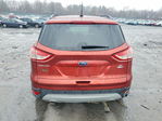 Ford Escape 2014