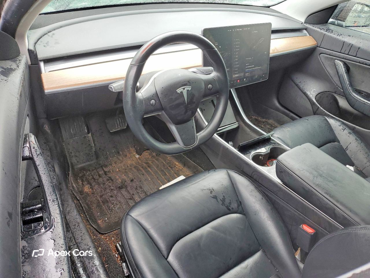 Tesla Model 3 2019