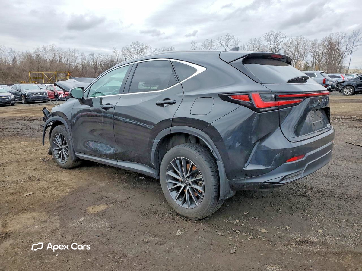 Lexus NX 2023