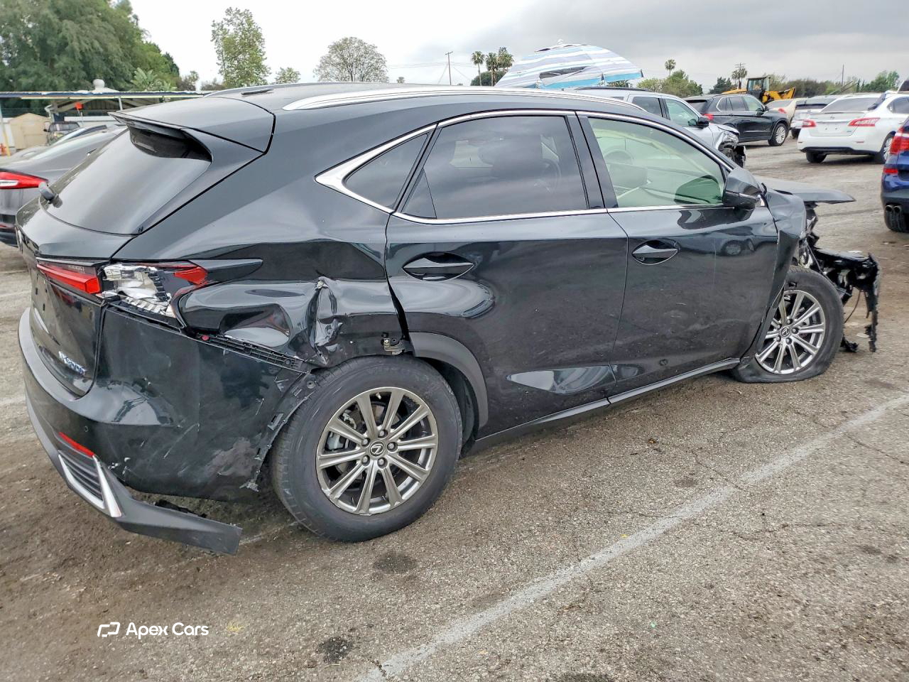 Lexus NX 2019