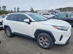 Toyota RAV 4 2023