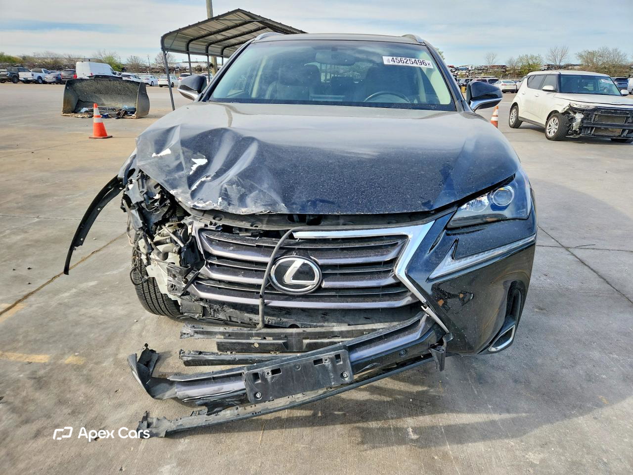 Lexus NX 2015