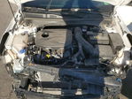 Kia Forte 2024