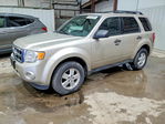 Ford Escape 2012