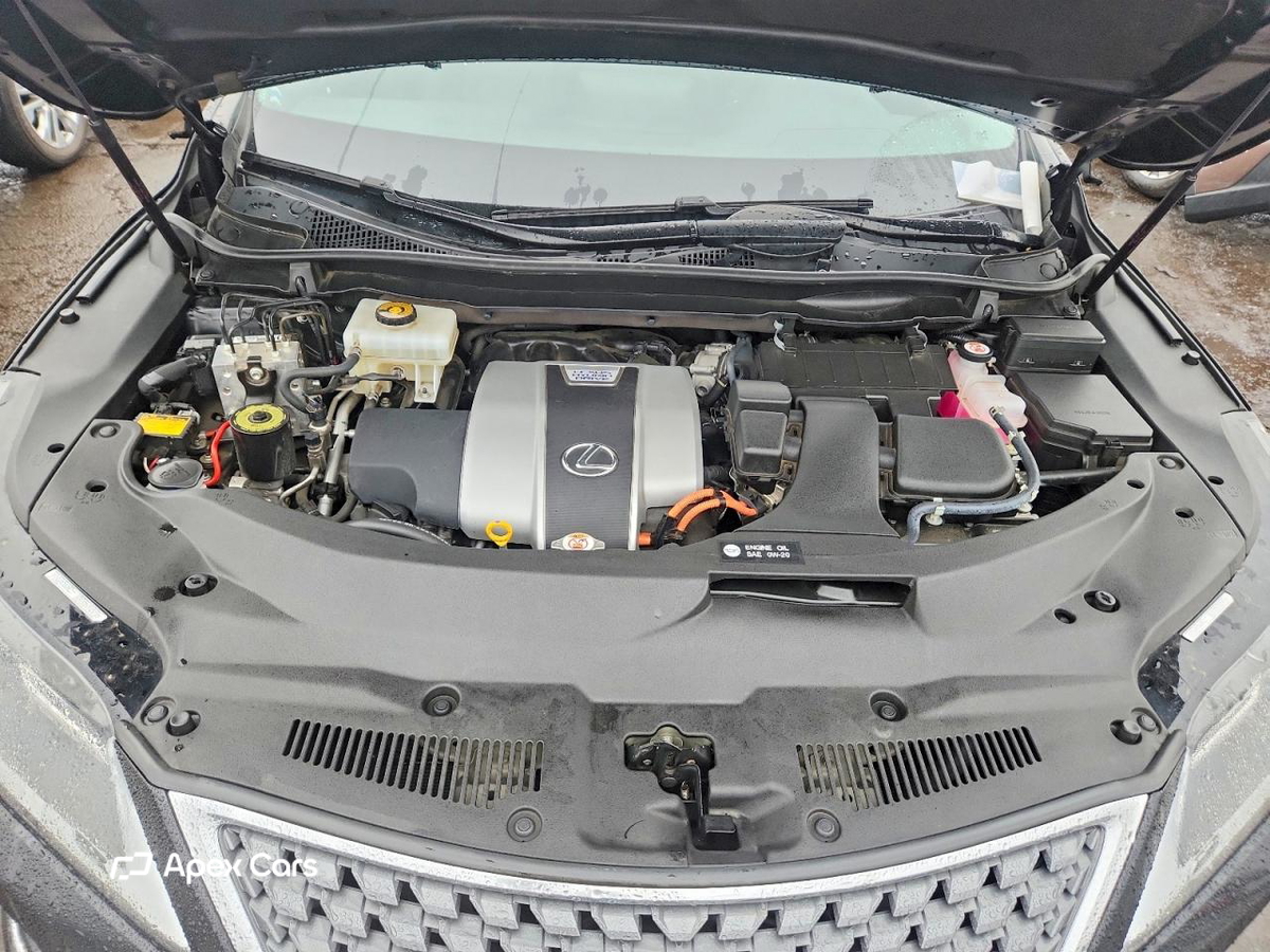 Lexus RX 2021