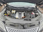Lexus RX 2021