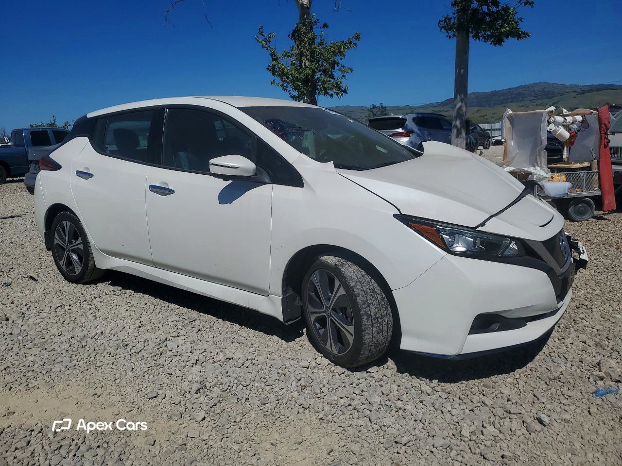 Nissan Leaf 2020