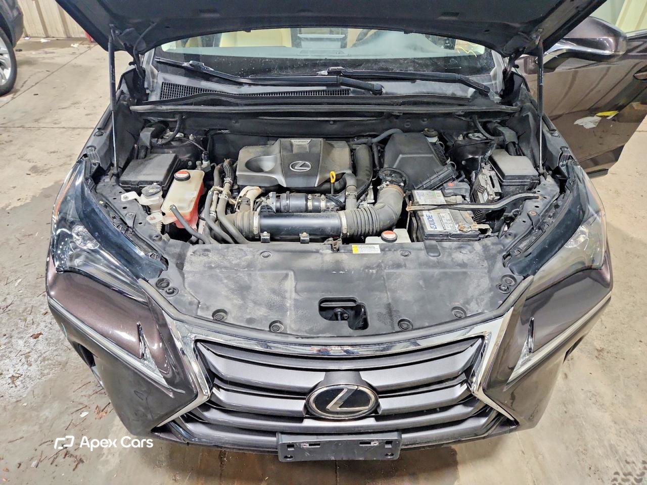 Lexus NX 2015
