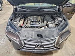 Lexus NX 2015