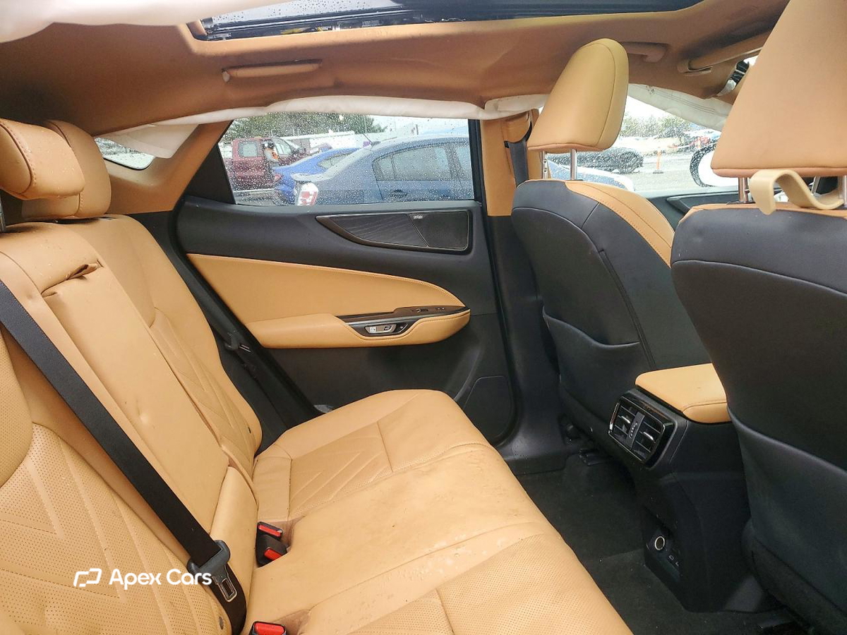 Lexus NX 2022