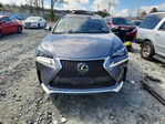 Lexus NX 2017