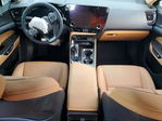 Lexus NX 2024