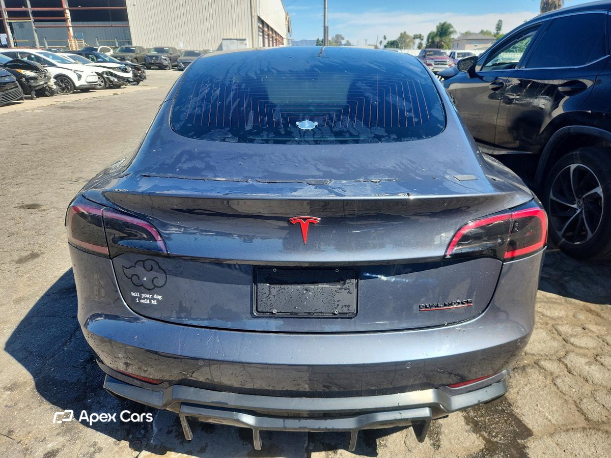 Tesla Model 3 2019