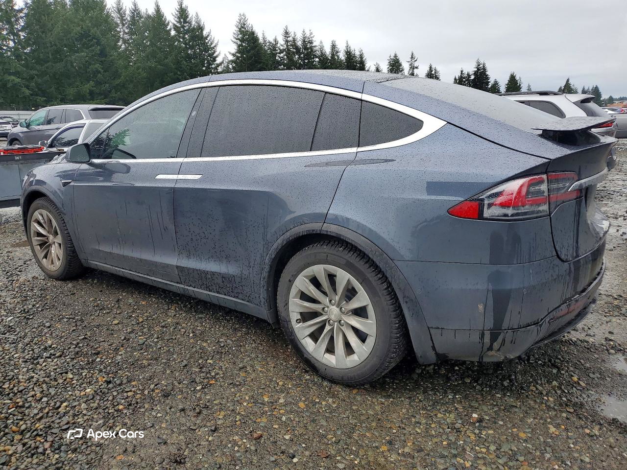 Tesla Model X 2019