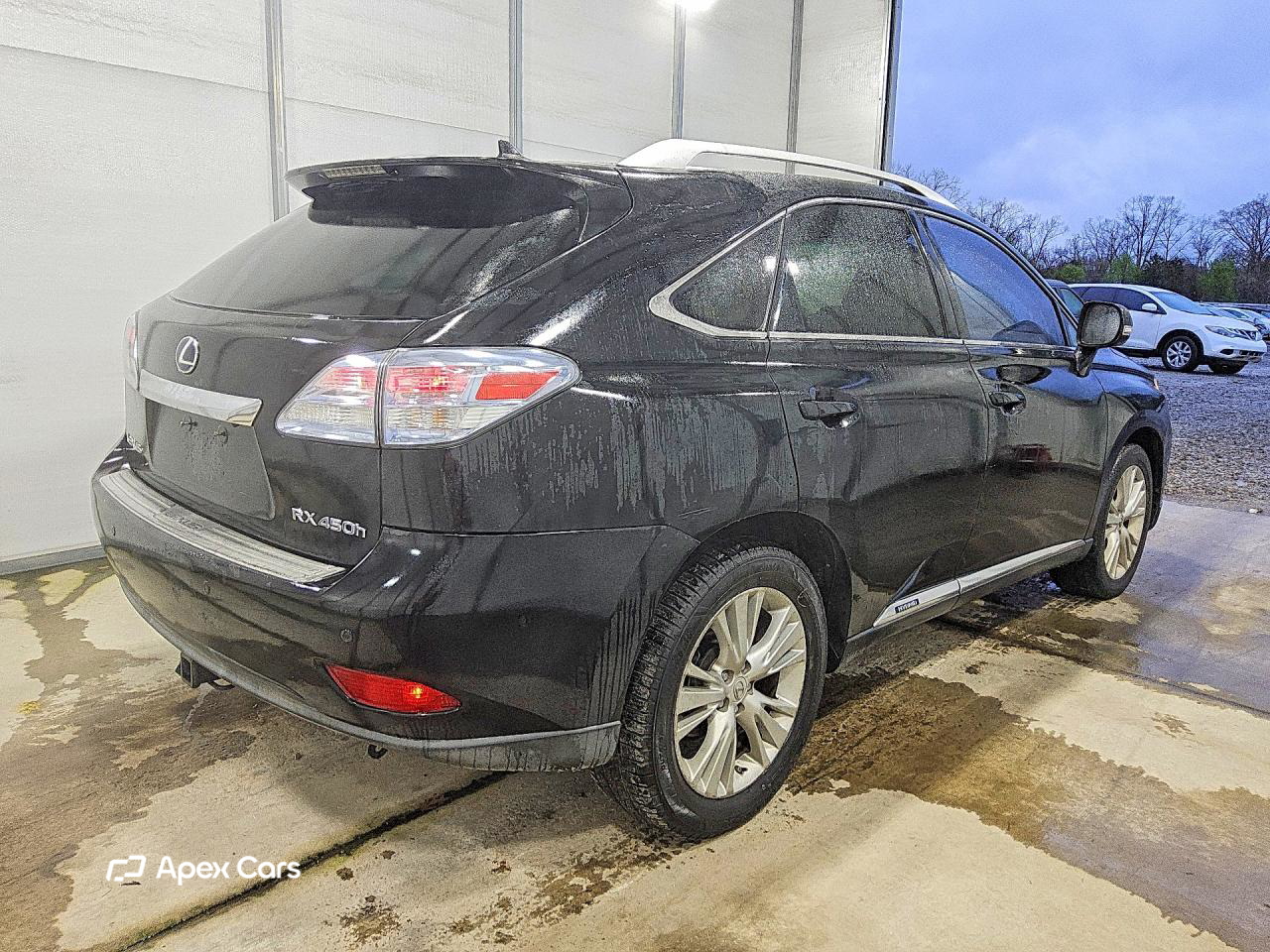 Lexus RX 2010