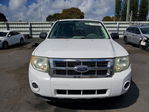 Ford Escape 2010