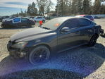 Lexus IS 2009