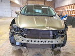 Ford Escape 2013