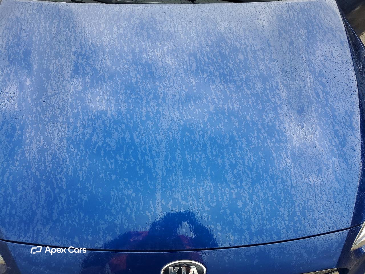 Kia Forte 2021