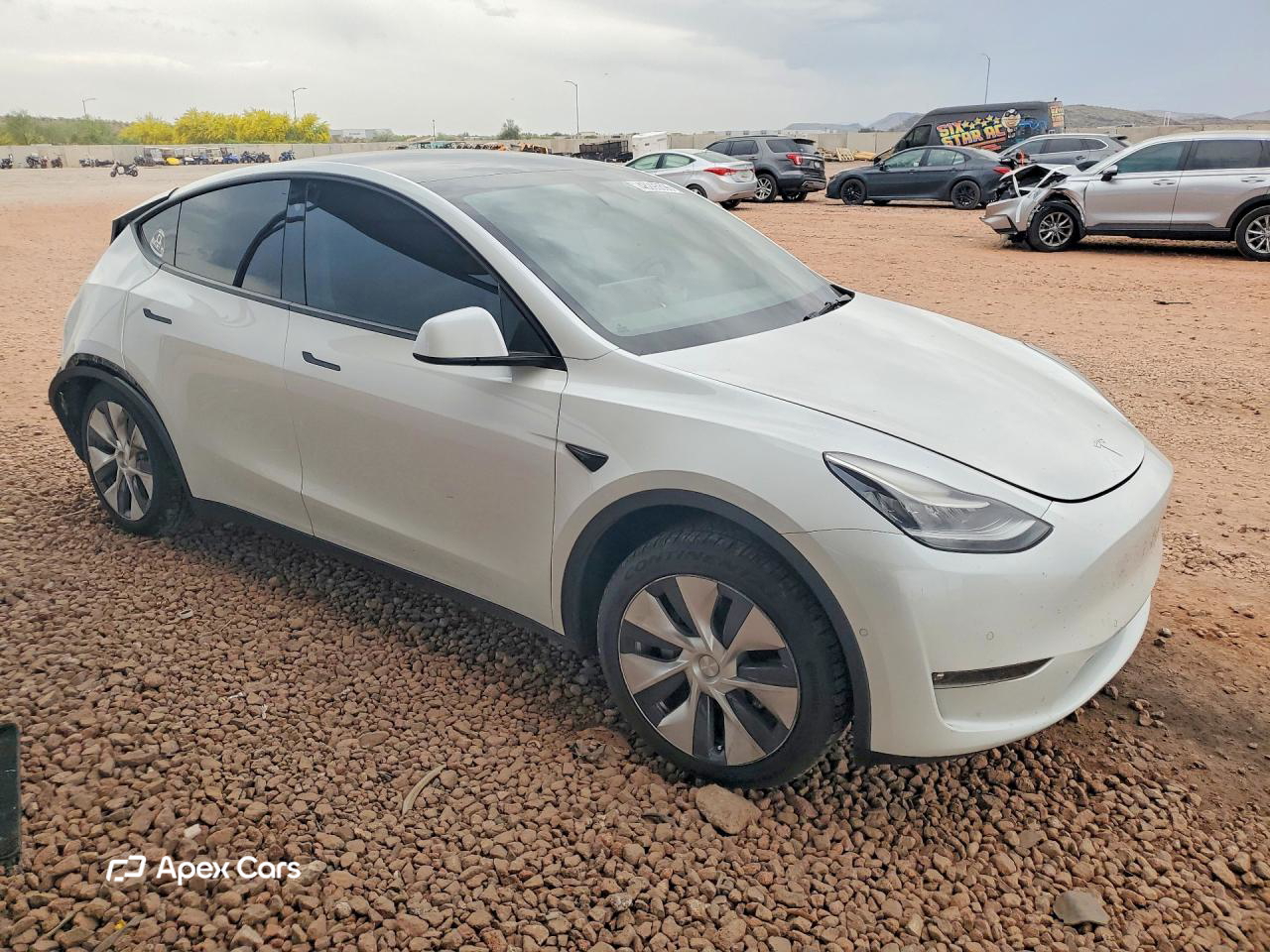 Tesla Model Y 2021