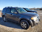 Ford Escape 2011