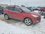 Ford Escape 2016