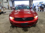 Ford Mustang 2011