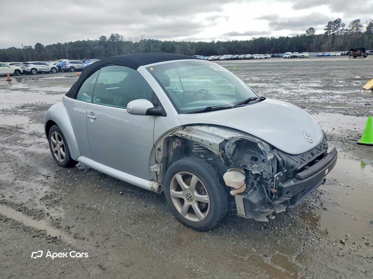 Volkswagen Beetle 2004