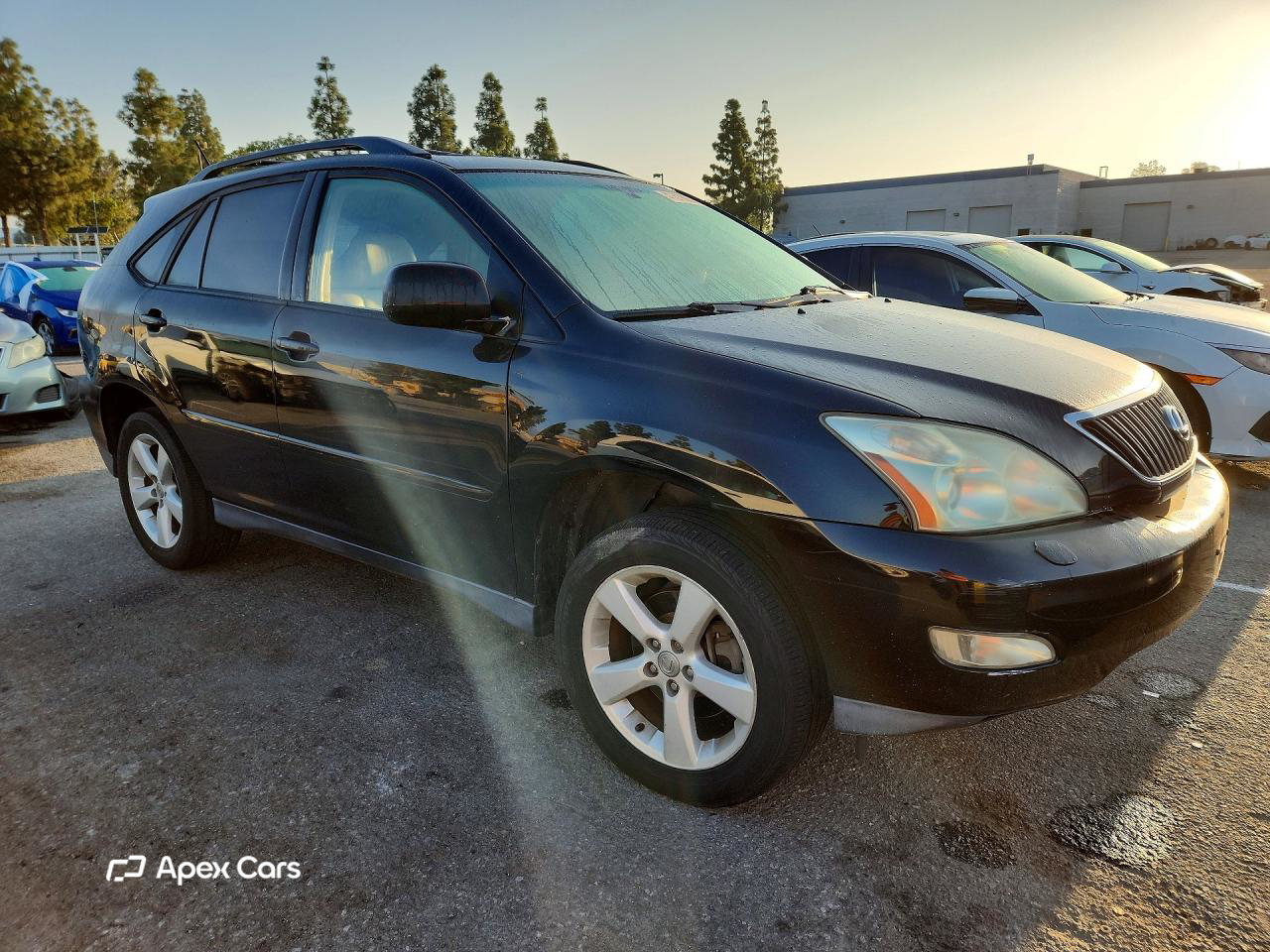 Lexus RX 2004
