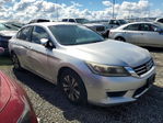 Honda Accord 2013