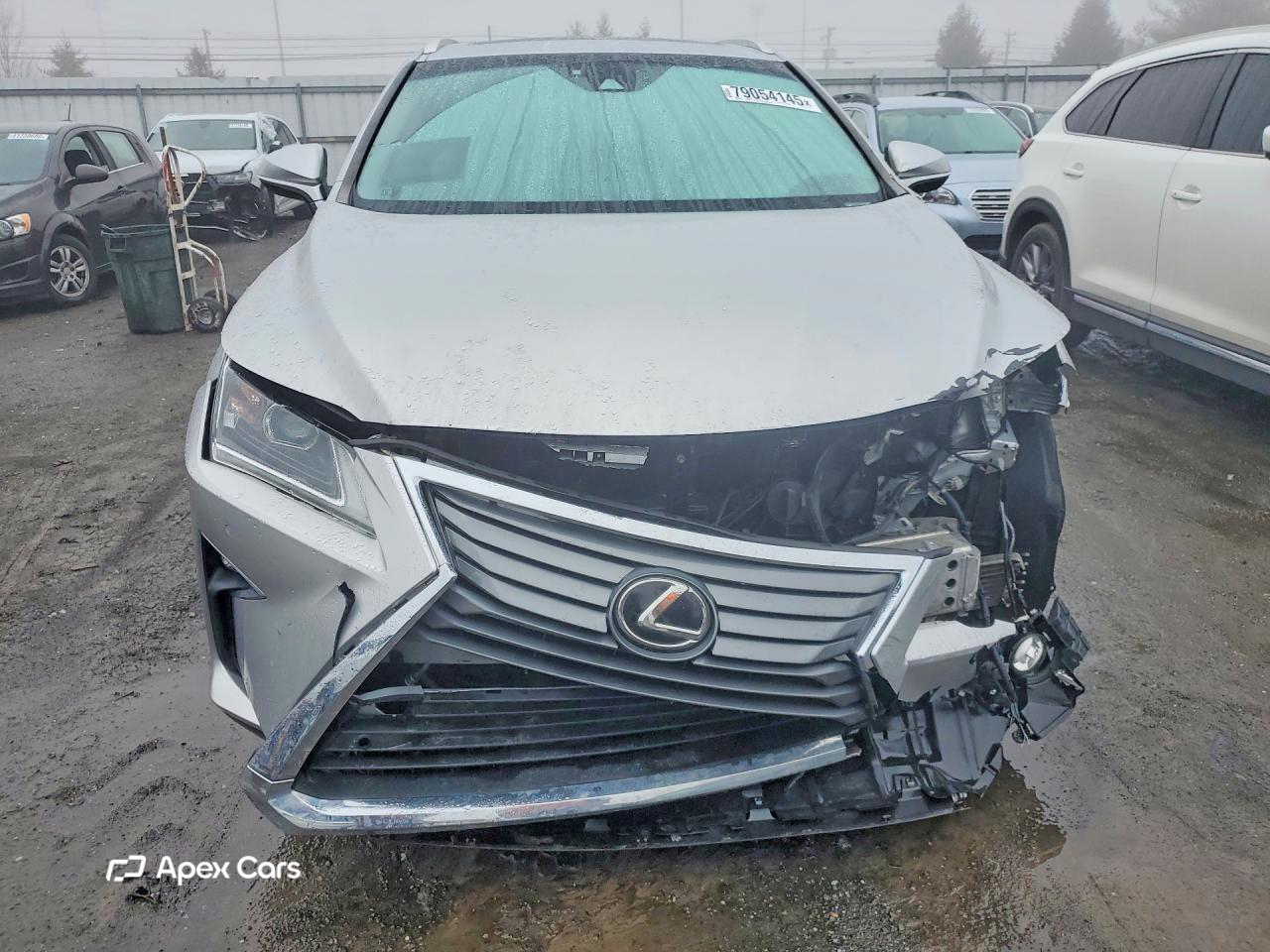Lexus RX 2019