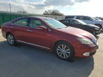 Lexus ES 2010