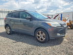 Ford Escape 2016