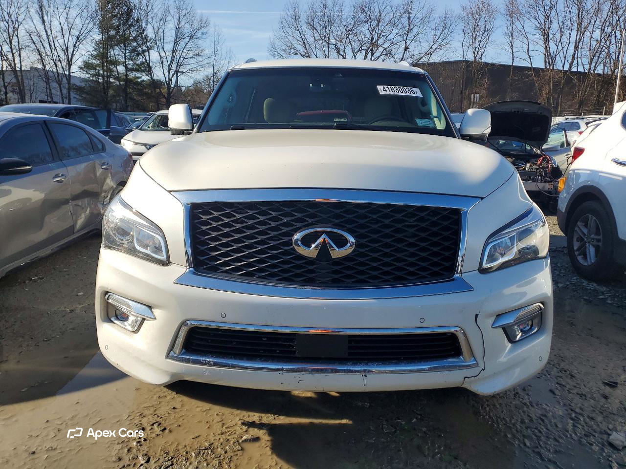 Infiniti QX80 2017