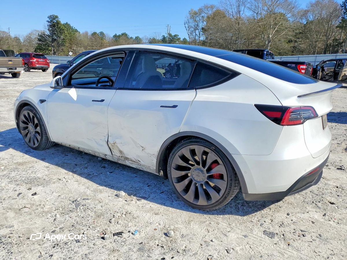 Tesla Model Y 2020